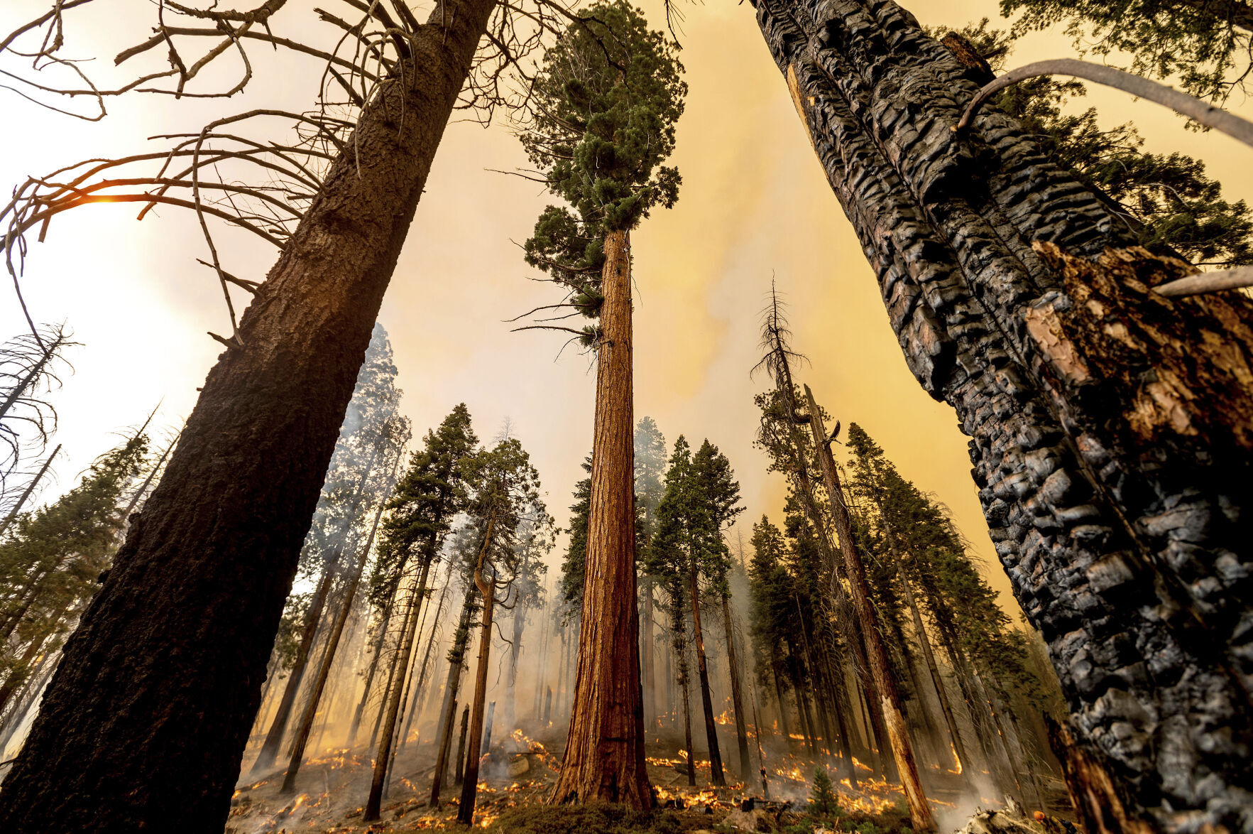 Western Wildfires